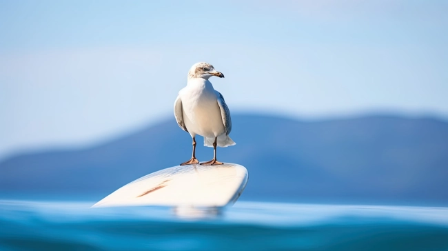 Coastal Wildlife: Majestic Seabird Soaring Above Blue Ocean