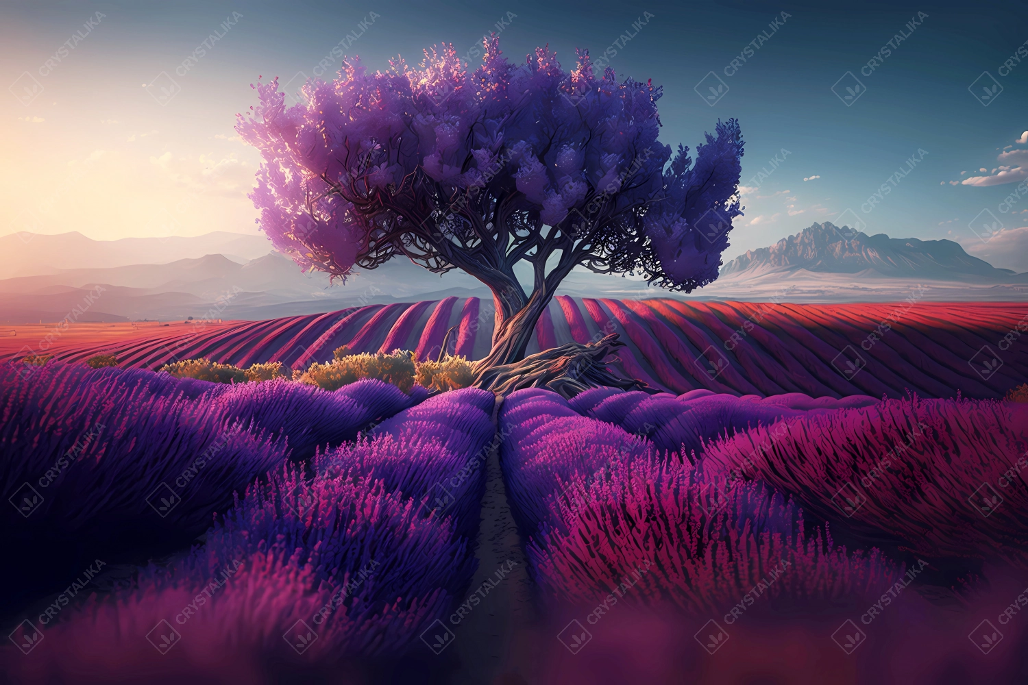 Beautiful lavender field during sunset